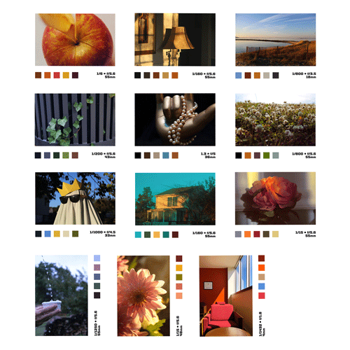 A grid of 12 'photocards', each with a large image on the top, squares of color on the left, and text denoting camera settings on the right.